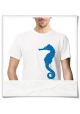 Seahorse men's T-Shirt in White Fair and organic