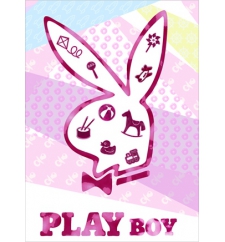 PLAY boy