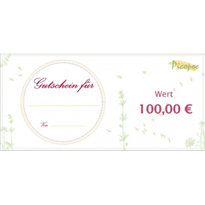 Gutschein für faire Geschencke im Wert von 100 € 