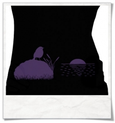 The Bird & The Sunset women Longsleeve T-Shirt 