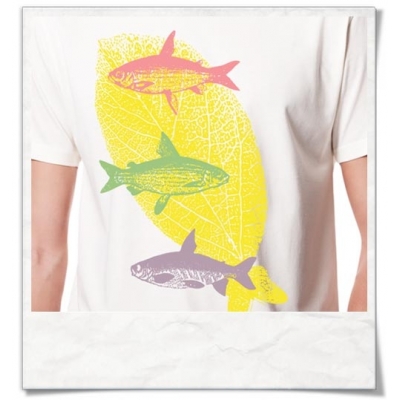 Flying Fishes / men T-Shirt / White / Fair Organic and Eco