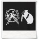HamHam, out of the hamster wheel :) T-Shirt / Black